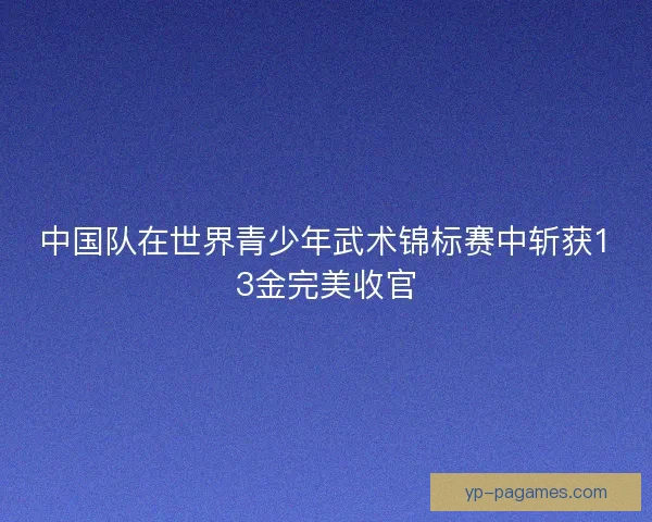 中国队在世界青少年武术锦标赛中斩获13金完美收官