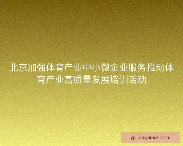 北京加强体育产业中小微企业服务推动体育产业高质量发展培训活动
